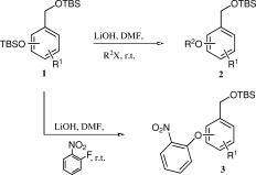 Access to
            monoprotected aryl alkl and biaryl ethers