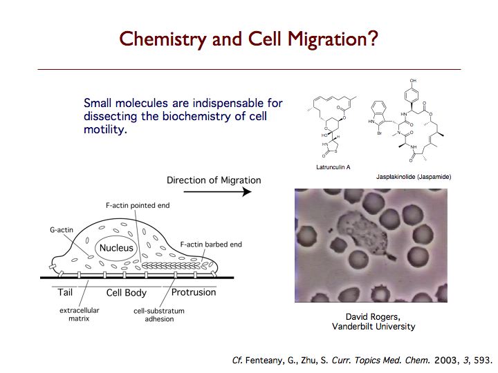 Chemistry & Cell Migration