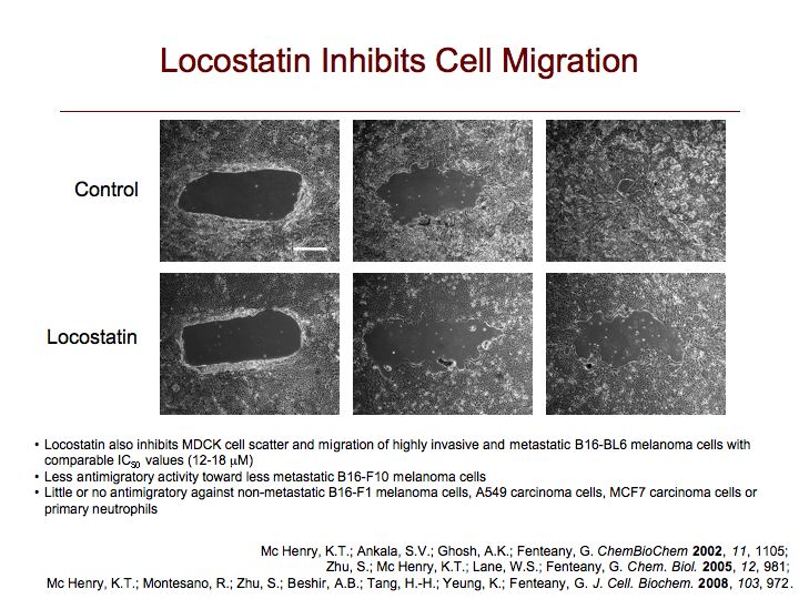 Locostatin & Cell Migration 1