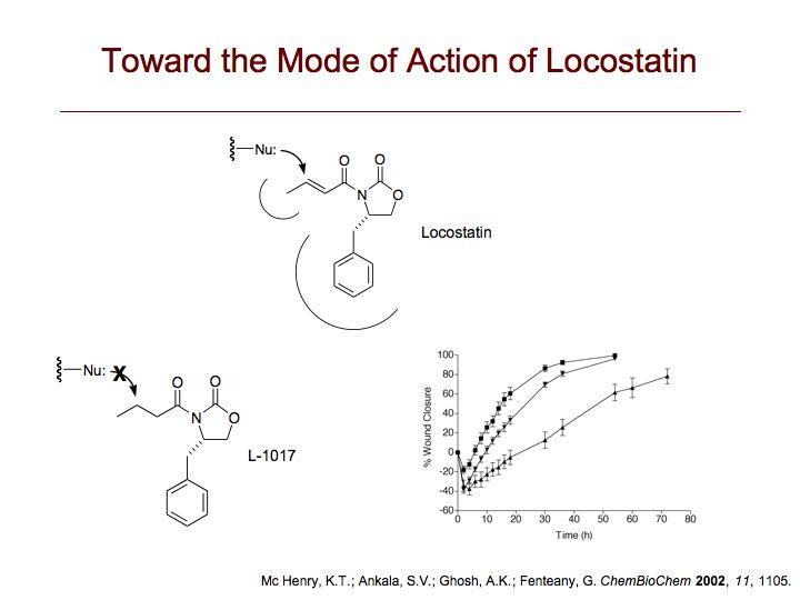 Mode of Action of Locostatin