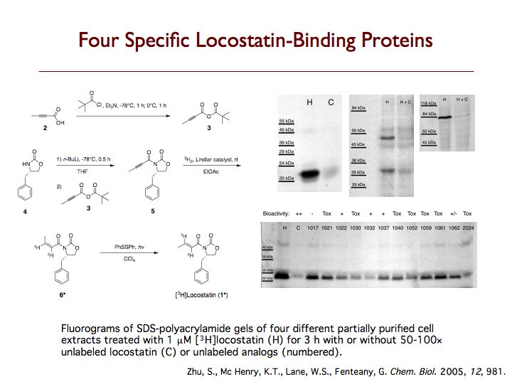 Four Specific Locostatin-Binding Proteins