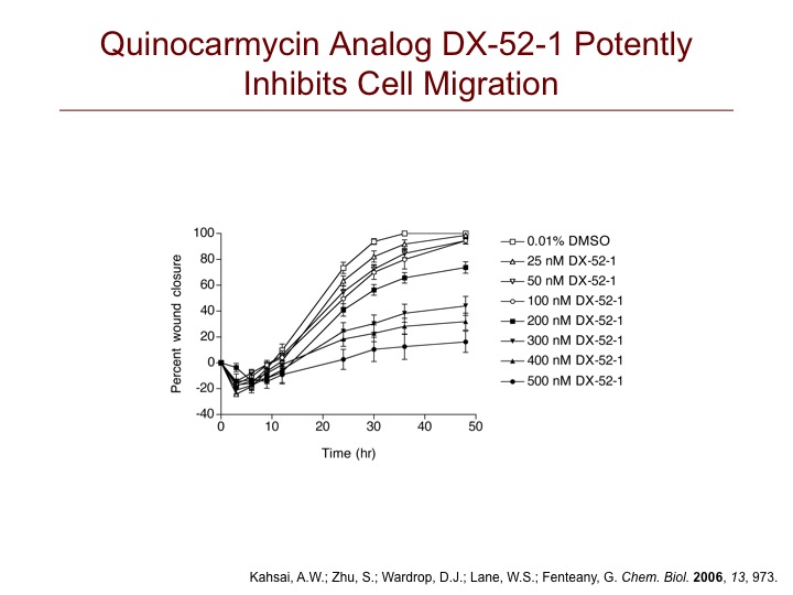 DX-52-1 Inhibits Cell Migration