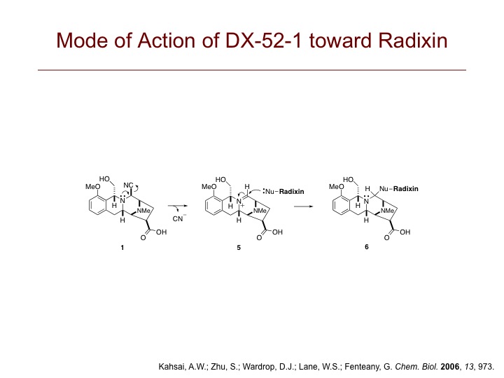 Purative Mode of Action of DX-52-1
